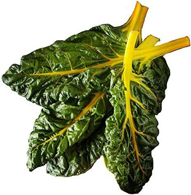 Paudha Swiss Chard Yellow Seed(40 per packet)