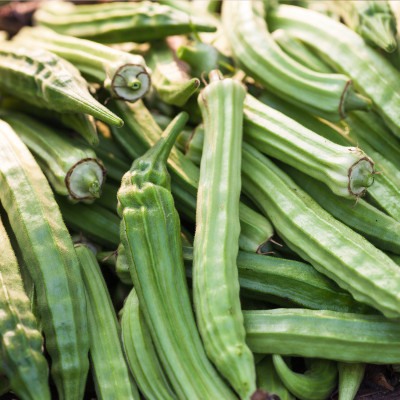 Farmonix Z1163_L_Okra Garden Seeds - Heirloom, Non-GMO Seed(150 per packet)