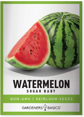 MKR Enterprises Tarbuj Seed(140 per packet)