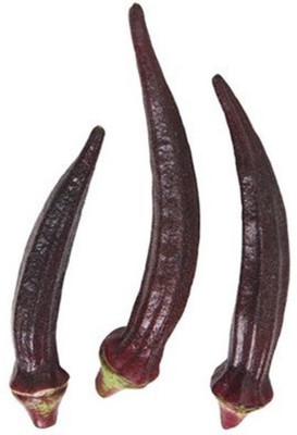 Farmonix Z431_G_Seeds Okra Red Burgundy K2665 (Red) Seed(80 per packet)