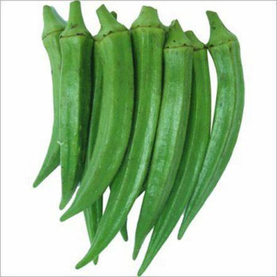 Farmonix Z886_W_Okra Lady Finger /Green Okra Seeds Seed(100 per packet)