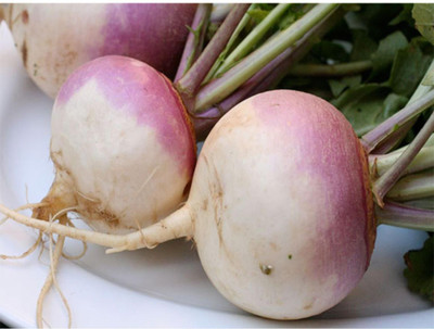 Paudha Turnip Shaljam Seed(30 per packet)