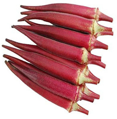 Farmonix Z644_Z_Organic Red Okra Seeds - Open Pollinated Seed(80 per packet)