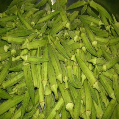KLARKEE Z918_L_Okra Lady Finger /Green Okra Seeds Seed(100 per packet)