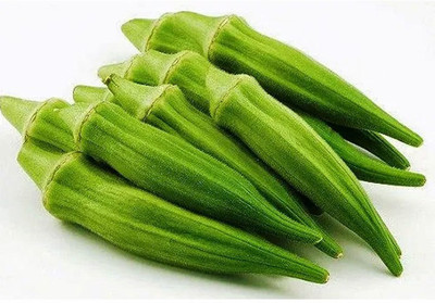 KLARKEE Z913_B_Okra Lady Finger /Green Okra Seeds Seed(100 per packet)
