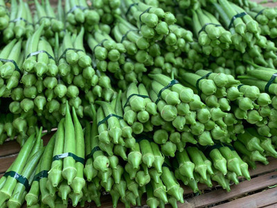 Farmonix Z825_I_Ladies Finger/Bhindi/Okra Seeds Seed(100 per packet)