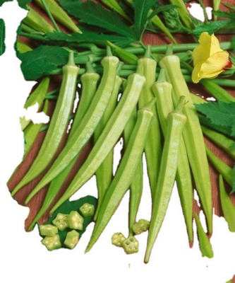 Farmonix Z1689_N_OKRA 3600H F1 HYBRID Seed(200 per packet)