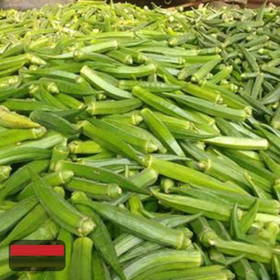 Farmonix Z1221_N_Okra Lady Finger /Green Okra Seeds Seed(150 per packet)