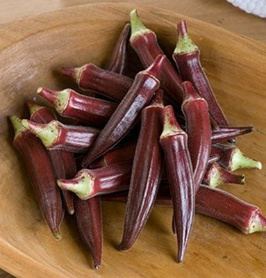 KLARKEE Z3259_K_Hybrid Okra Seeds - Red Seed(1000 per packet)