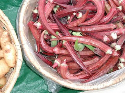 GREENIFY RED BURGUNDY OKRA SEEDS Seed(300 per packet)
