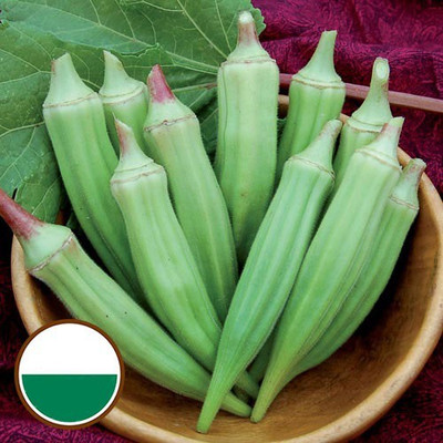 Farmonix Z297_H_Clemson Spineless Okra Seed(50 per packet)