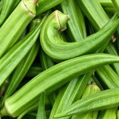 Farmonix Z2423_C_Okra Lady Finger /Green Okra Seeds Seed(300 per packet)