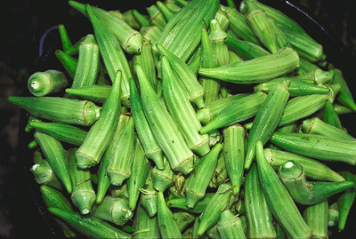 Farmonix Z472_R_Okra Lady Finger /Green Okra Seeds Seed(80 per packet)