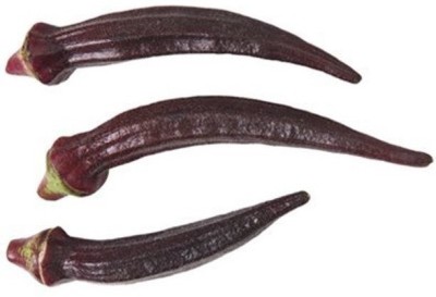 KLARKEE Z51_W_Seeds Okra Red Burgundy K2665 (Red) Seed(50 per packet)