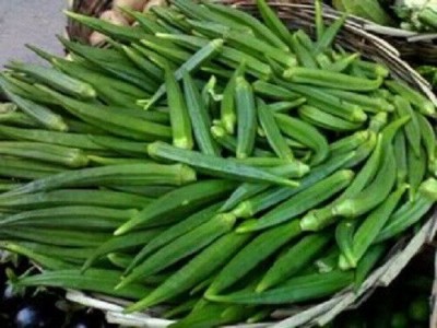 KLARKEE Z1087_Y_GREEN OKRA Vegetable Seeds Seed(100 per packet)