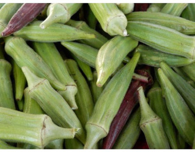 Farmonix Z8_I_Okra Lady Finger /Green Okra Seeds Seed(50 per packet)
