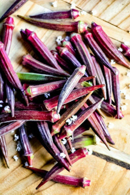 Farmonix Z704_N_Burgundy Red Okra Seeds Seed(80 per packet)