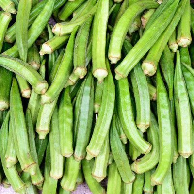 Farmonix Z136_X_Okra Lady Finger /Green Okra Seeds Seed(50 per packet)