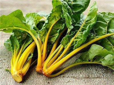 Paudha Swiss Chard Yellow Seed(40 per packet)