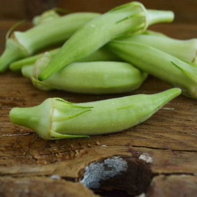 KLARKEE Z633_O_Blondy Dwarf Lady Finger,Okra Seeds Seed(80 per packet)