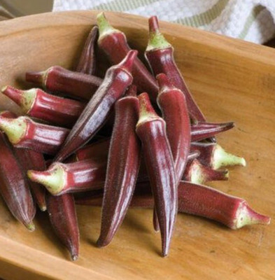 Farmonix Z413_R_Okra, Carmine Splendor F1 Seeds Seed(80 per packet)