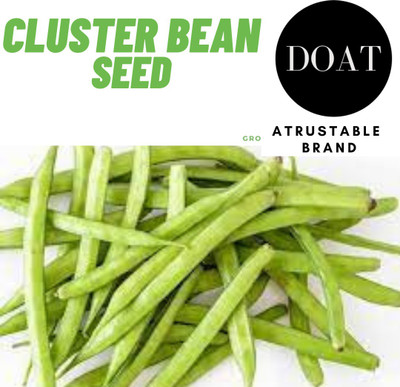 Doat CLUSTER BEAN SEED, GUWAR FALI KA BEEJ, PHALI SEED Seed(100 per packet)