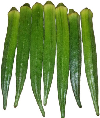Farmonix Z848_H_Okra Lady Finger /Green Okra Seeds Seed(100 per packet)