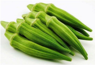 KLARKEE Z2190_Y_Ladies Finger/Bhindi/Okra Seeds Seed(250 per packet)