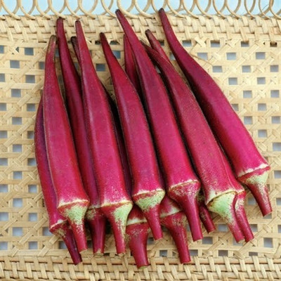 Farmonix Z2090_P_Burgundy Red Okra Seeds Seed(250 per packet)