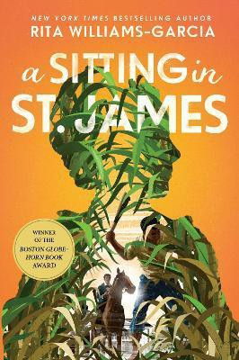 A Sitting in St. James(English, Paperback, Williams-Garcia Rita)