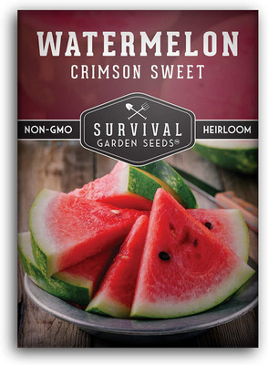 MKR Enterprises Water Melon Seed(840 per packet)