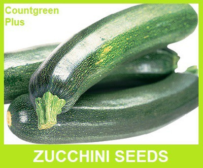 Countgreen Plus Zucchini Vegetable Seed(10 per packet)