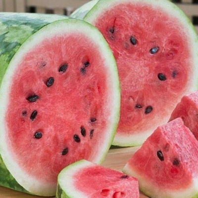 VibeX GUA-66 - Jubilee Watermelon - (1350 Seeds) Seed(1350 per packet)