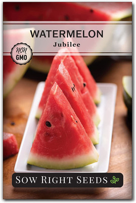MKR Enterprises Water Melon Seed(210 per packet)