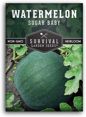 CYBEXIS VVI-4 - Sugar Baby Watermelon - (1350 Seeds) Seed(1350 per packet)