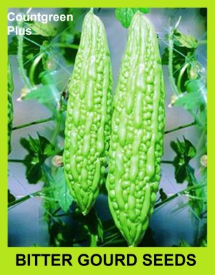 Countgreen Plus Bitter Gourd (Karela) Vegetable Seed(10 per packet)