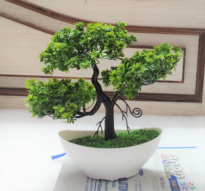 ductor Artificial Tree Plant with Pot Unique design for Home, office decoration|H~24cm Bonsai Wild Artificial Plant  with Pot(24 cm, Green)