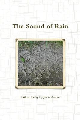 The Sound of Rain(English, Paperback, Salzer Jacob)
