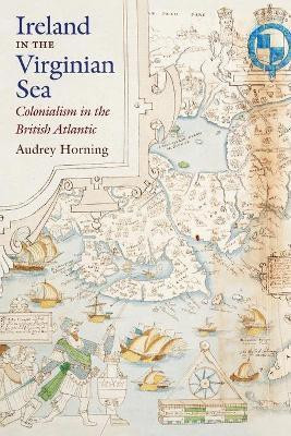Ireland in the Virginian Sea(English, Paperback, Horning Audrey)