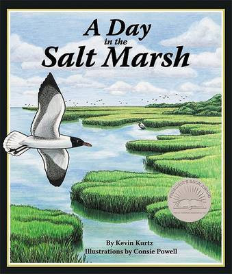 A Day in the Salt Marsh(English, Paperback, Kurtz Kevin)
