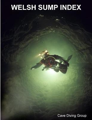 Welsh Sump Index(English, Paperback, Price Duncan)