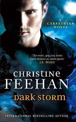 Dark Storm(English, Paperback, Feehan Christine)