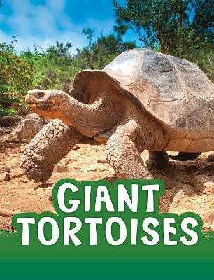 Giant Tortoises(English, Paperback, Jaycox Jaclyn)