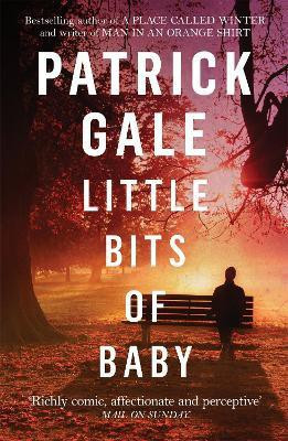 Little Bits of Baby(English, Paperback, Gale Patrick)
