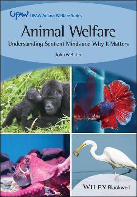 Animal Welfare(English, Paperback, Webster John)