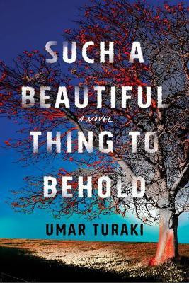 Such a Beautiful Thing to Behold(English, Paperback, Turaki Umar)