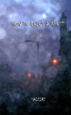 How to Evict A Ghost(English, Paperback, Saleire)
