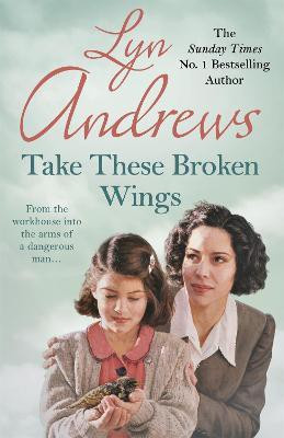 Take these Broken Wings(English, Paperback, Andrews Lyn)