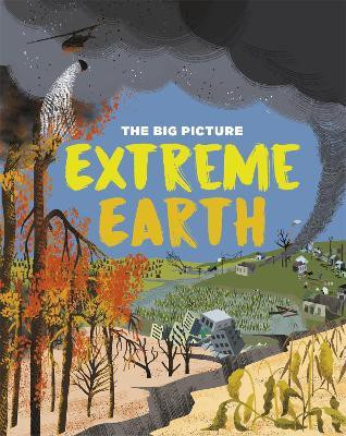 The Big Picture: Extreme Earth(English, Paperback, Richards Jon)