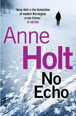 No Echo(English, Paperback, Holt Anne)